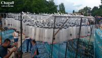 Imagine atasata: 20140724_203100.jpg